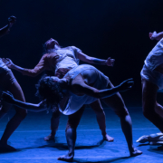 Quiver_Danza