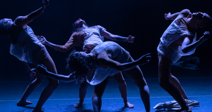 Quiver_Danza