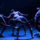 Quiver_Danza