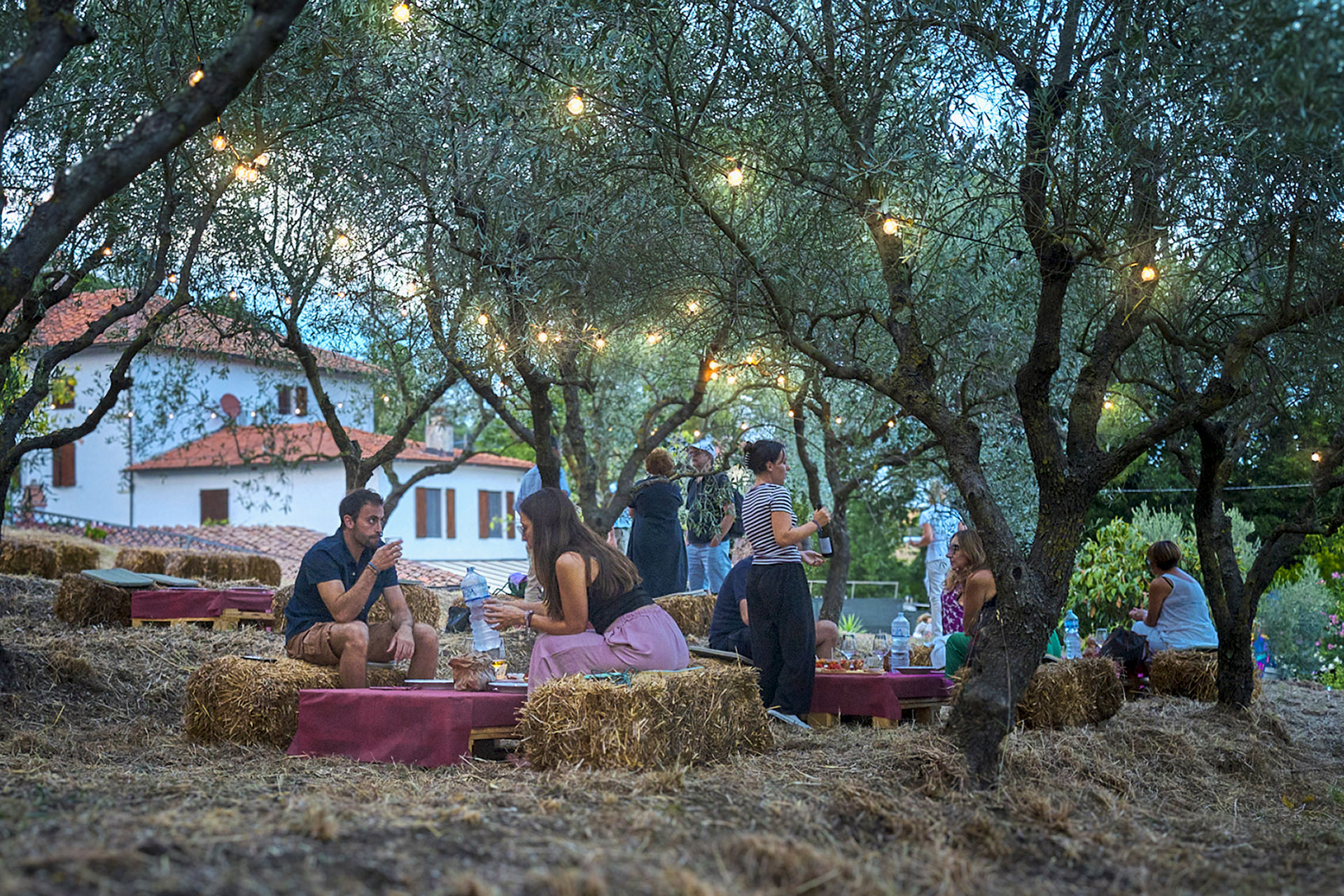 Aperitivo Tra gli Olivi Aperitivo Tra gli Olivi